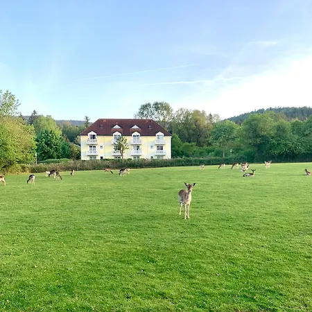 Aktiv-card - In - Sauna - Garten Mit Rehgehege - Terrasse - Fruehstueck - Blick Ins Gruene - - Arber - Osser - Lindners Hideaways - Gutshof Pine Retreat Daire