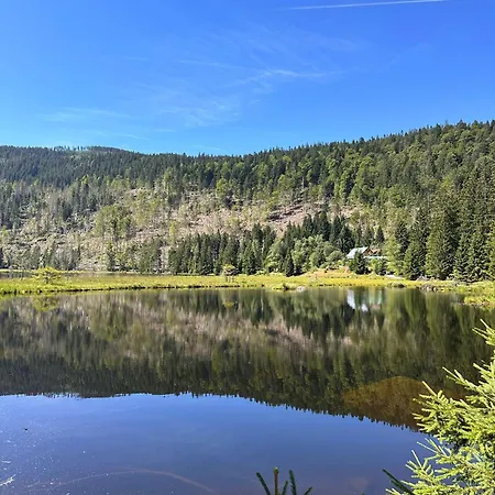 Aktiv-card - In - Sauna - Garten Mit Rehgehege - Terrasse - Fruehstueck - Blick Ins Gruene - - Arber - Osser - Lindners Hideaways - Gutshof Pine Retreat Daire Hohenwarth