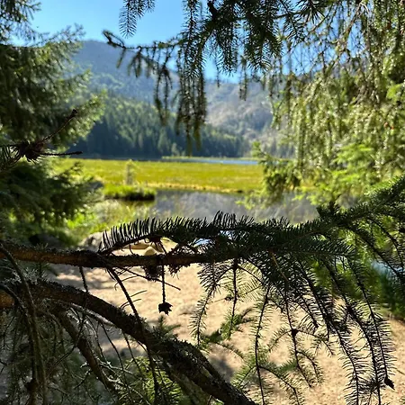 Aktiv-card - In - Sauna - Garten Mit Rehgehege - Terrasse - Fruehstueck - Blick Ins Gruene - - Arber - Osser - Lindners Hideaways - Gutshof Pine Retreat Daire Hohenwarth
